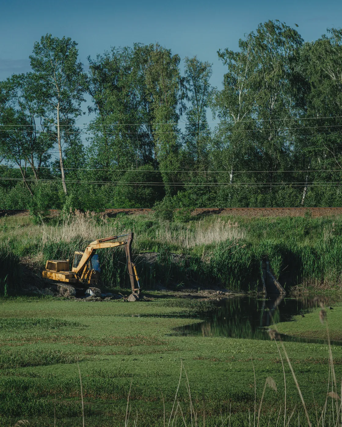 Miniexcavadora despejando vegetación en una pendiente