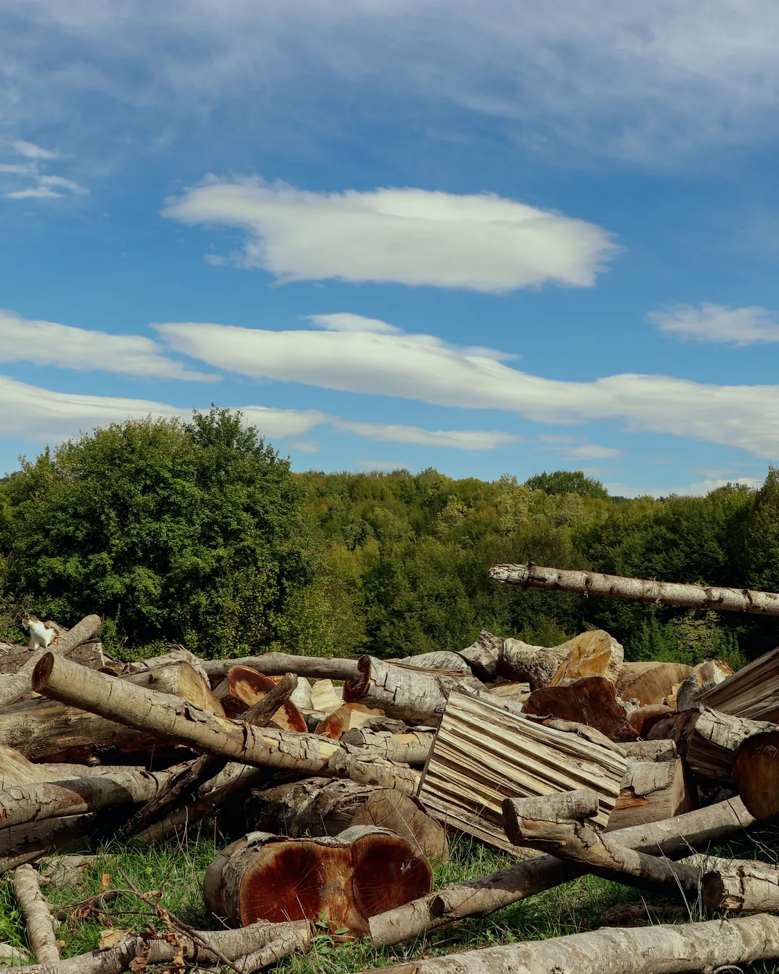 Restos de maleza y ramas retirados de una finca